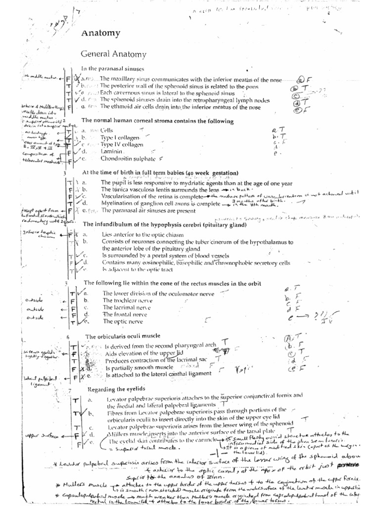 Ico Basics 2013 | PDF