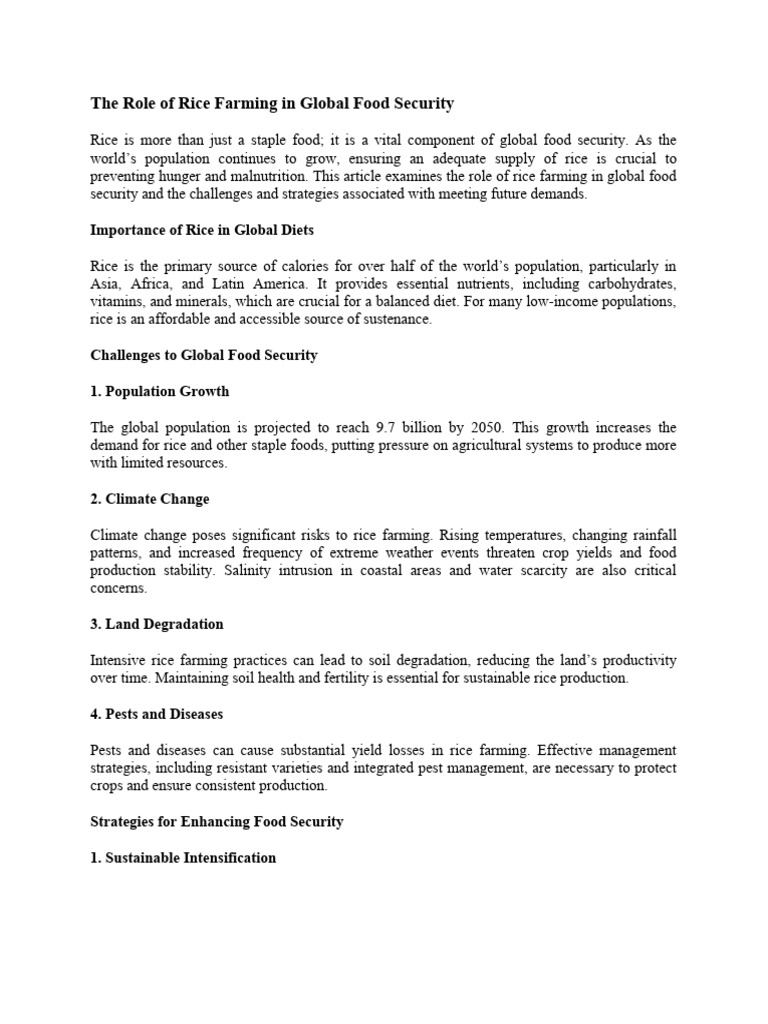 Rice Farming's Role in Food Security | PDF | Rice | Agriculture