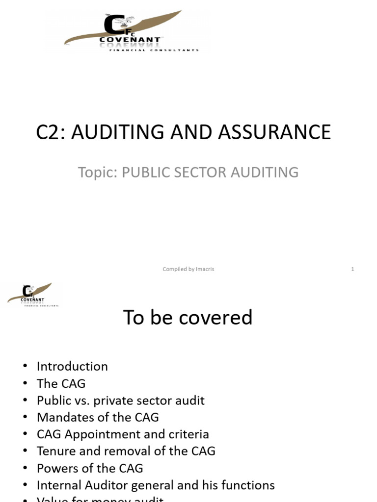 Public Sector Auditing Overview | PDF | Audit | Government