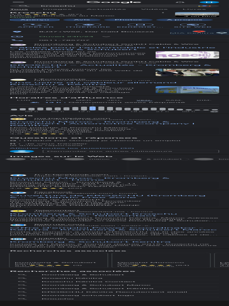 Kroschu Recherche Google Pdf