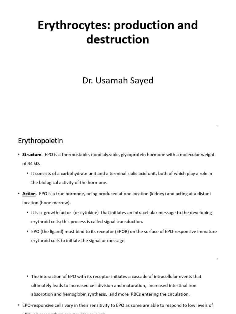 Unit 03 Erythrocyte Production and Destruction | PDF | Red Blood Cell ...