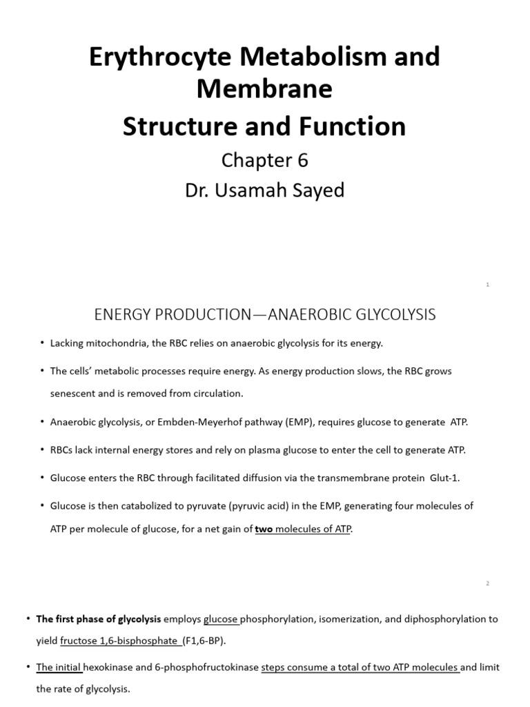 DH1 Unit 04 Erythrocyte Metabolism and Membrane Structure and Function ...