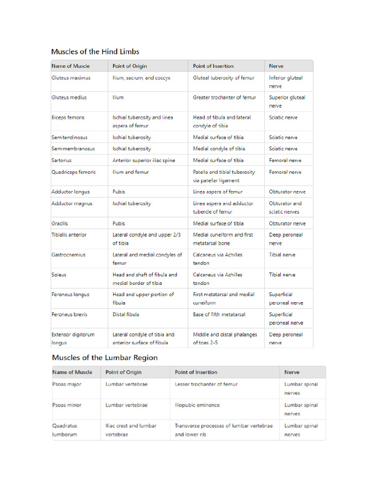 Muscles | PDF
