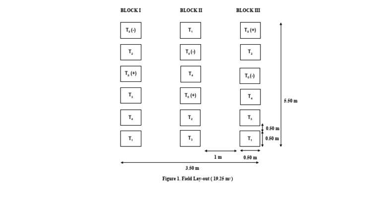 Field Layout Design for 19.25 m² | PDF