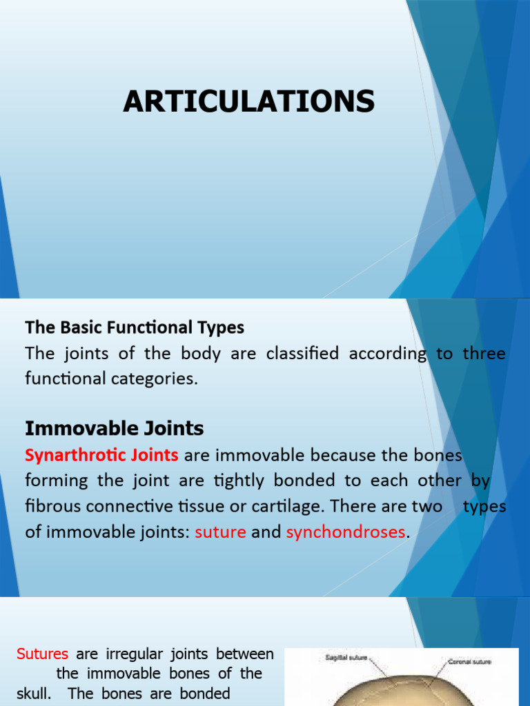Chapter 13 Ana Lab | PDF | Joint | Musculoskeletal System