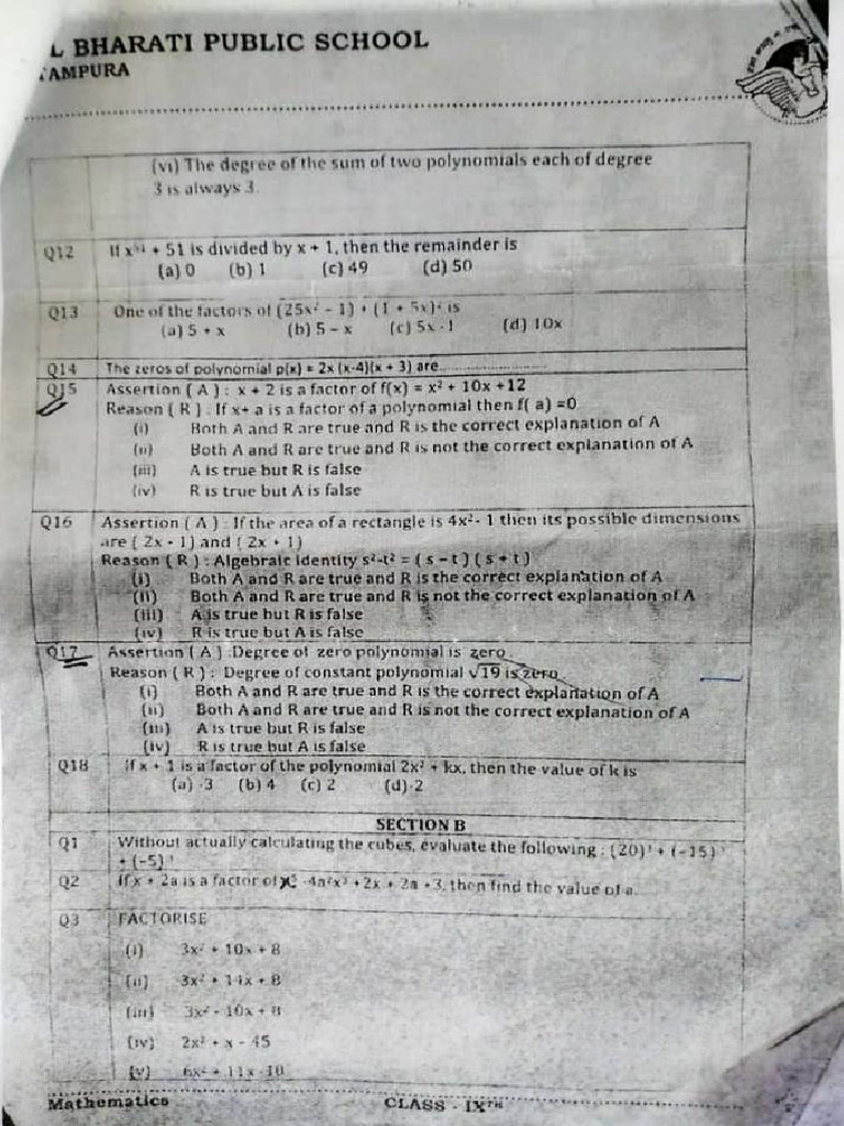Math Polynomials | PDF