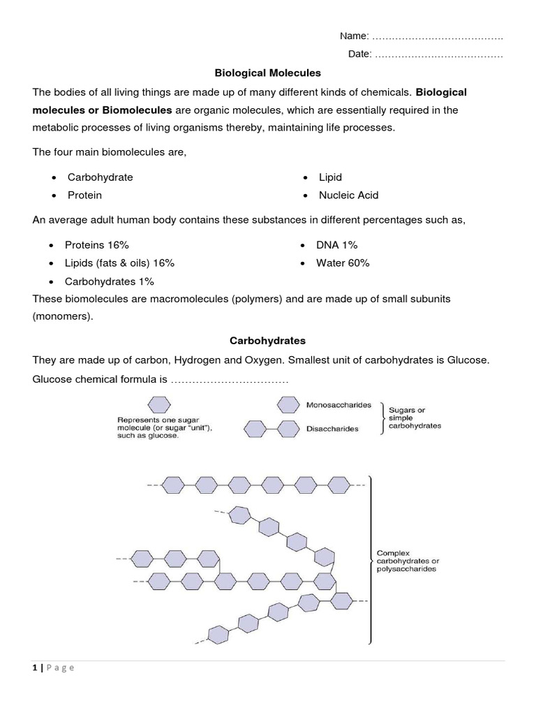 Biological Molecules 2025 Ol Pdf Carbohydrates Biomolecules