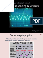 Auditory Processing & Tinnitus