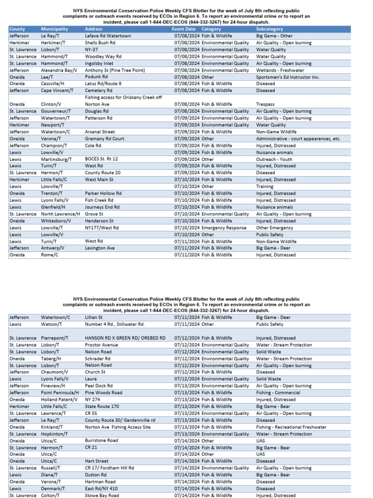 UNCOVERED: The Rise of Crime in Somers, NY - What's Behind the Uptick in Police Blotter Activity?
