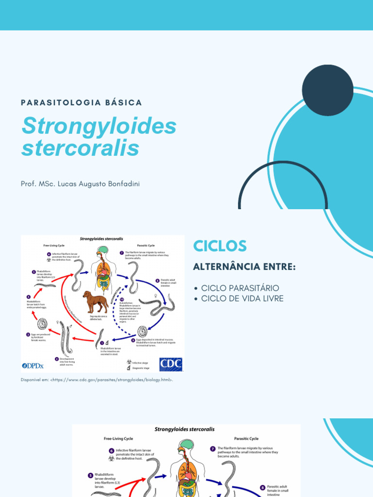 Ciclo de Vida do Strongyloides Stercoralis | PDF | Epidemiologia ...