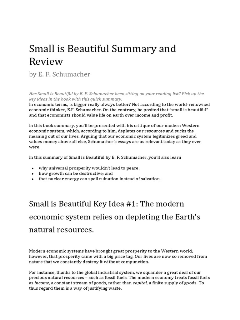 Small is Beautiful Summary and Review | Download Free PDF | Nuclear