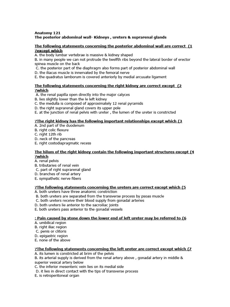 Posterior Abdominal Wall Meaning In Urdu