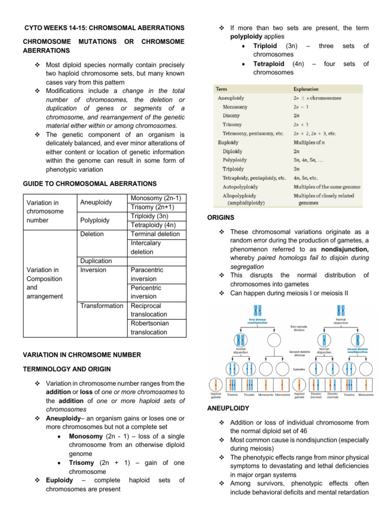 Chromosomal Aberrations Overview | PDF | Ploidy | Meiosis