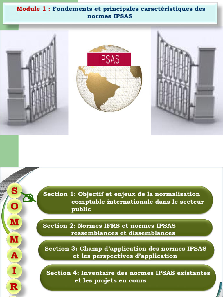 Normes IPSAS : Fondements et enjeux | PDF | Normes internationales d ...
