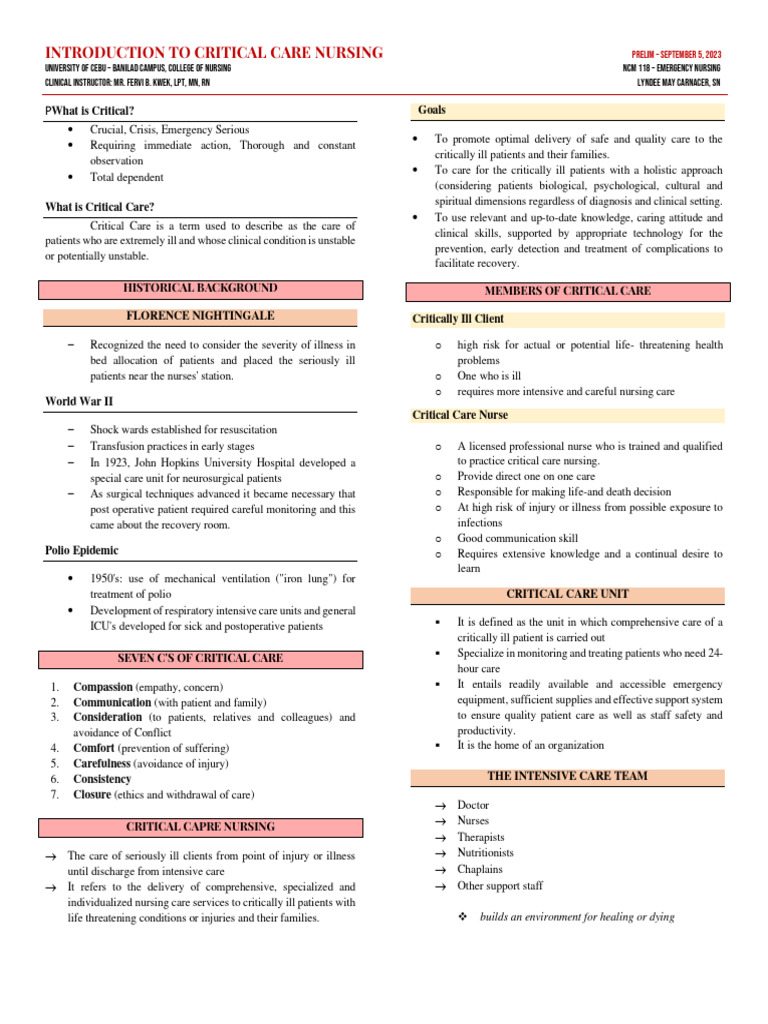 Overview of Critical Care Nursing | PDF | Intensive Care Medicine ...