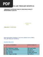 MDT Documentation and Audit Template | PDF | Business | Finance & Money ...