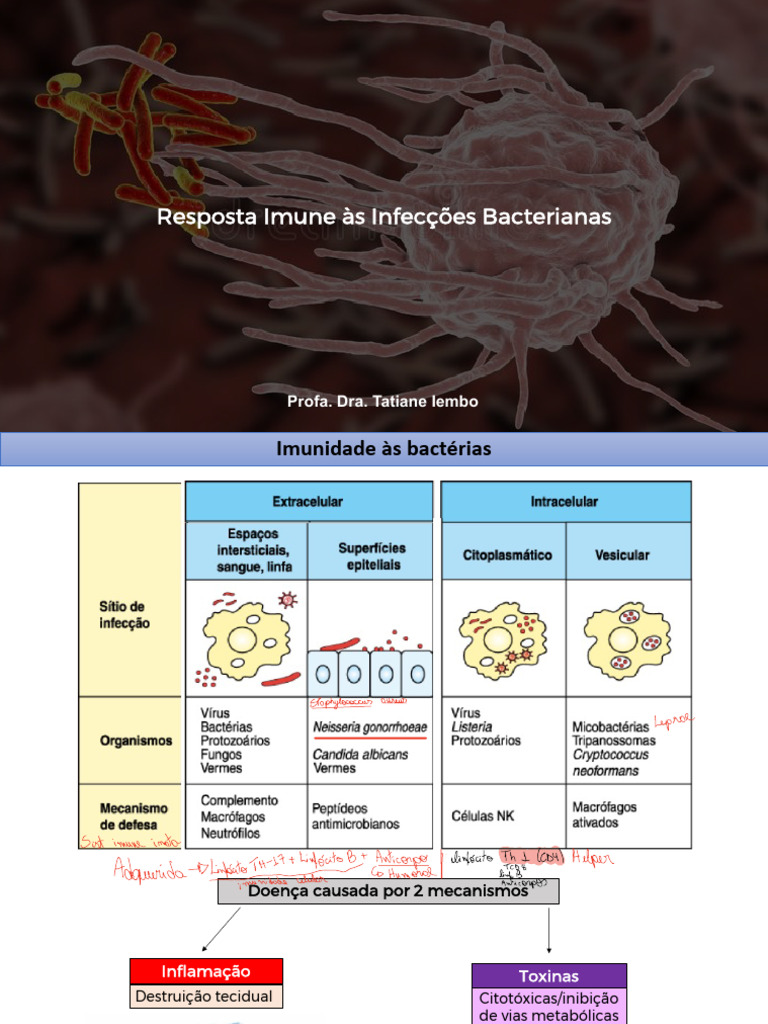 Resposta Imune a Infecções Bacterianas | PDF | Célula T | Sistema ...