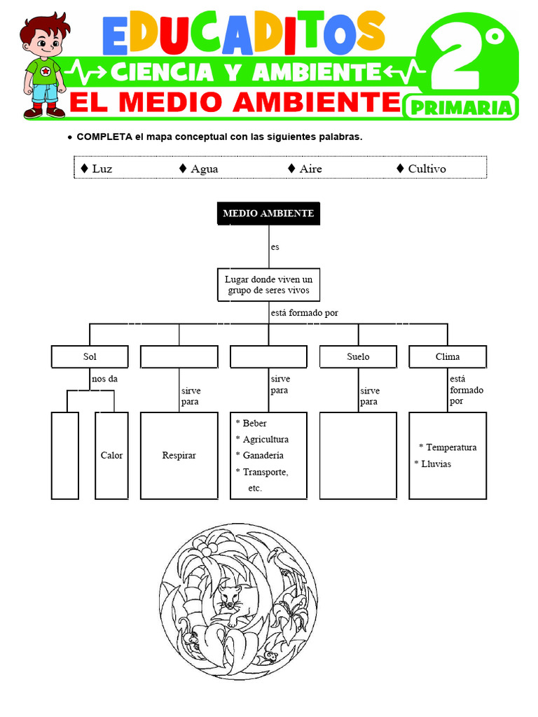El Medio Ambiente para Segundo Grado de Primaria | PDF
