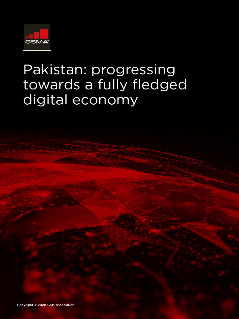 Pakistan Report Updates LR | PDF | Pakistan | Taxes