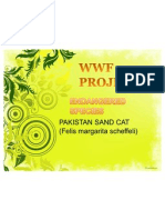 Wwf Project