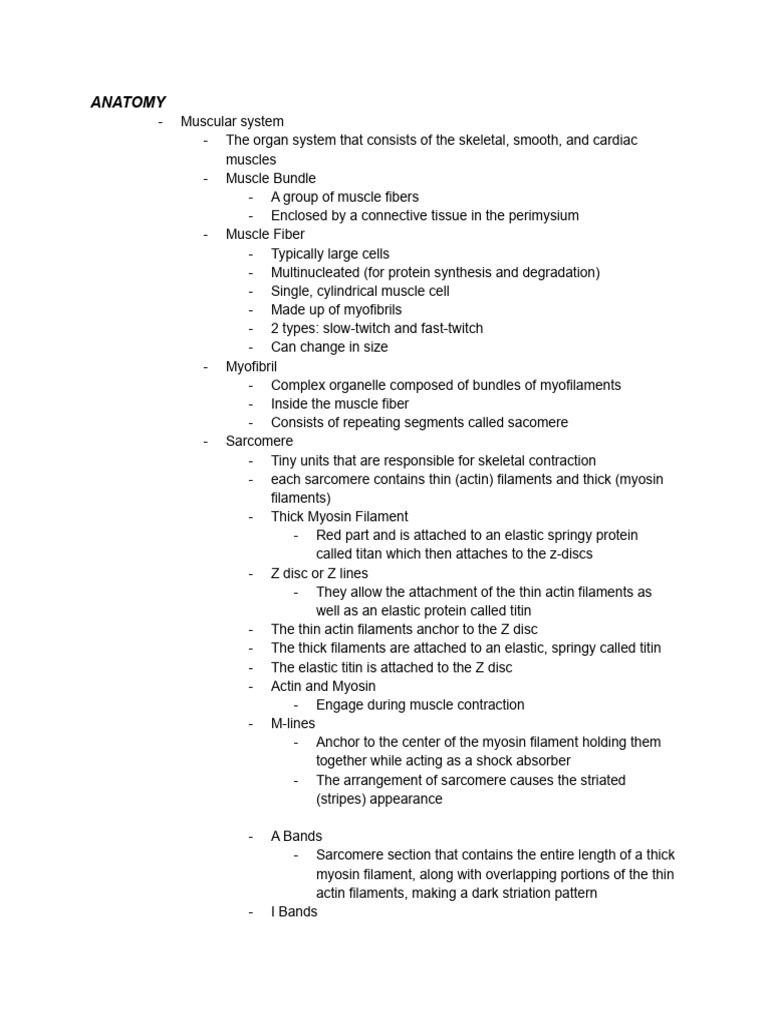 WHAT IS ANATOMY PDF visual data 4