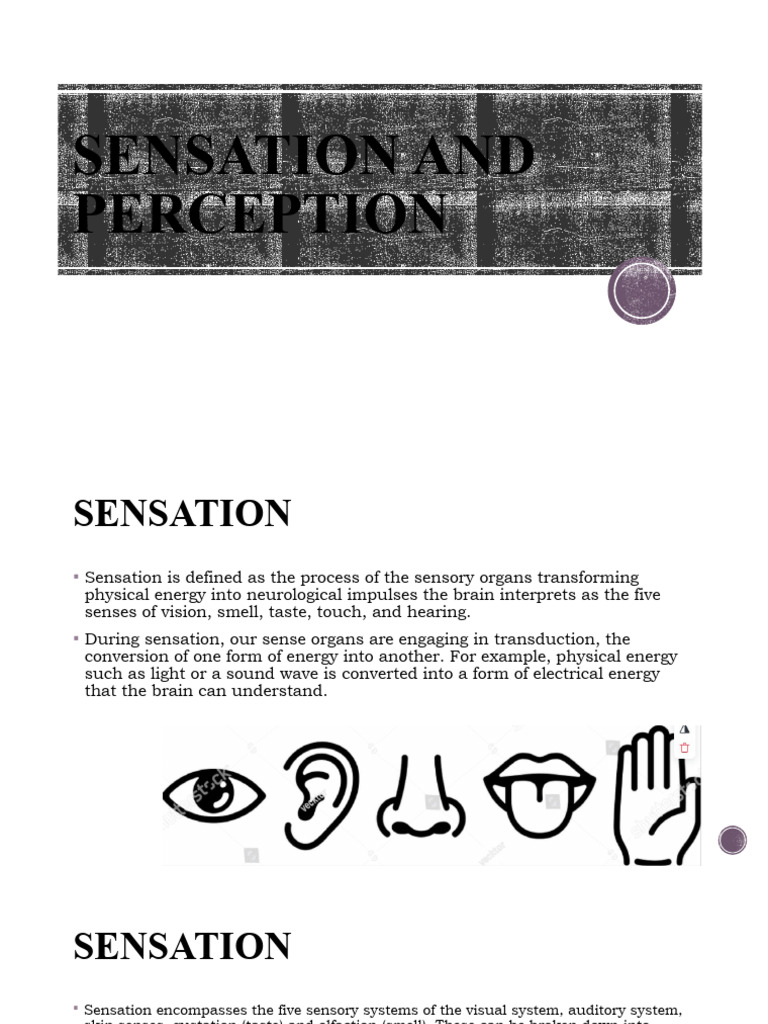 Sensation and Perception Overview | PDF | Senses | Perception