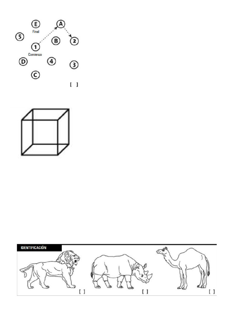 MOCA Primera Parte | PDF