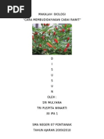 Download BUDIDAYA CABAI RAWIT by Versi_Ithu_Qie_6132 SN75101107 doc pdf