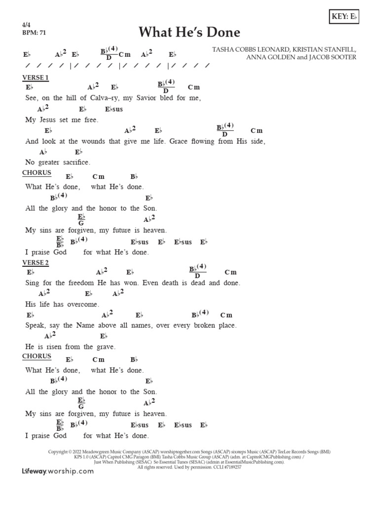 The Rise of Birdy Songwriter: Changing the Music Industry One Chord at a Time