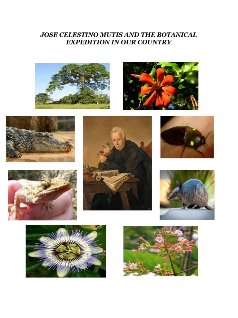 Botanical Expedition Chapter One Pdf