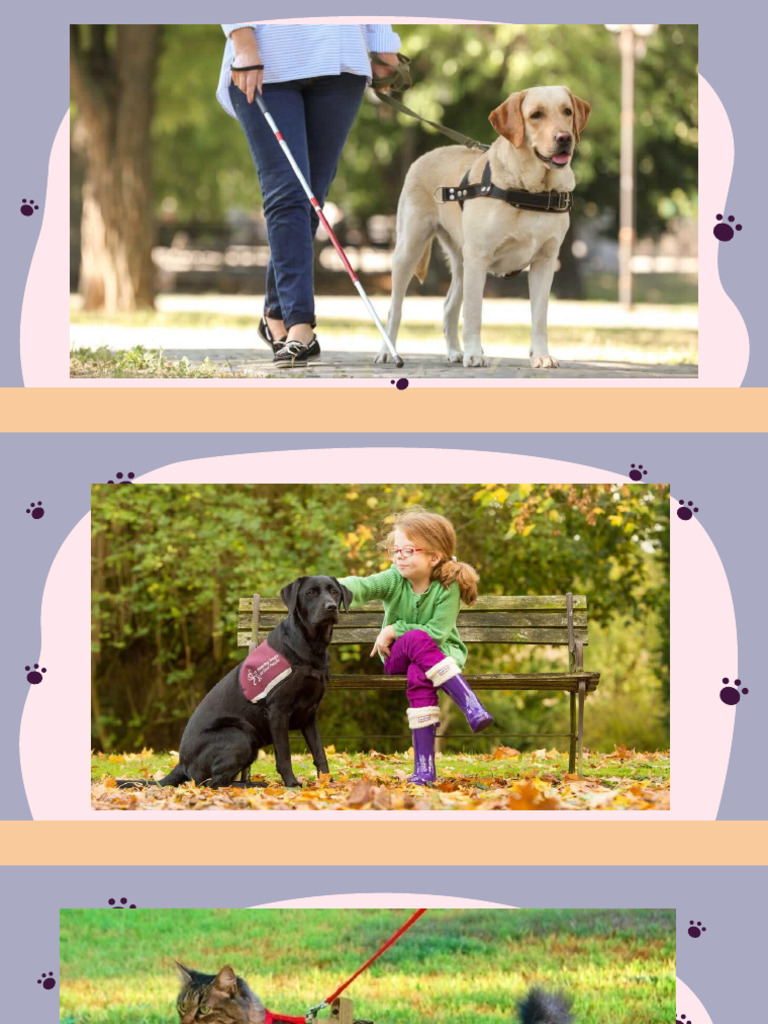 Essential Resources for Service Animals | PDF | Wellness