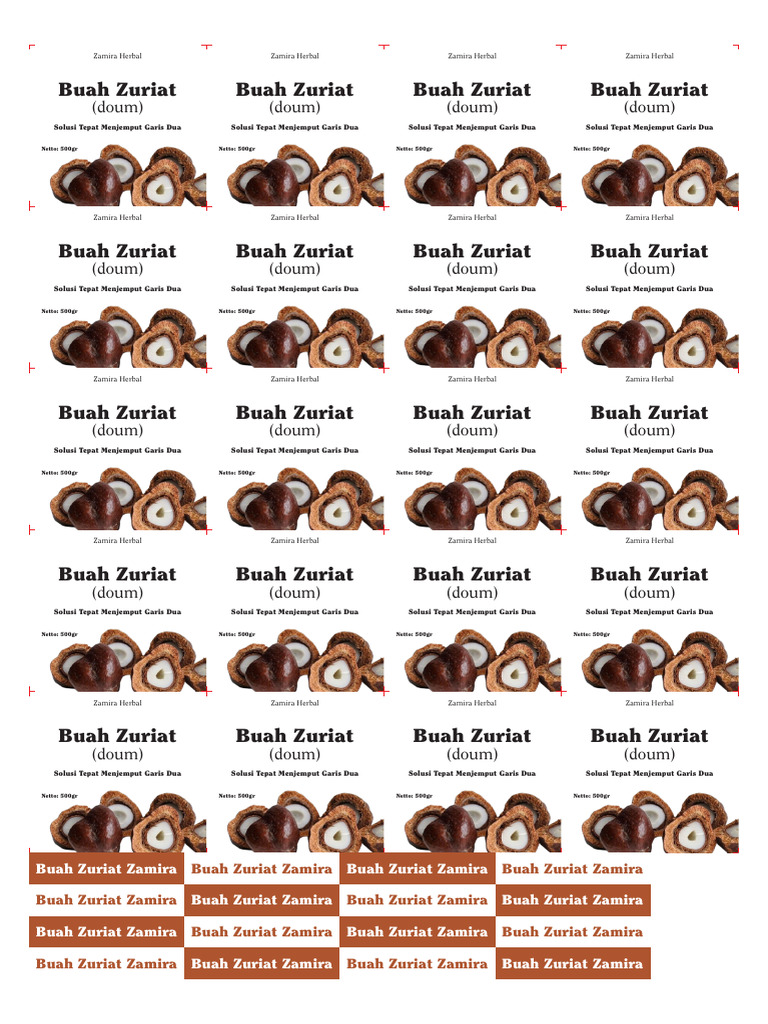 Stiker Buah Zuriat Baru | PDF