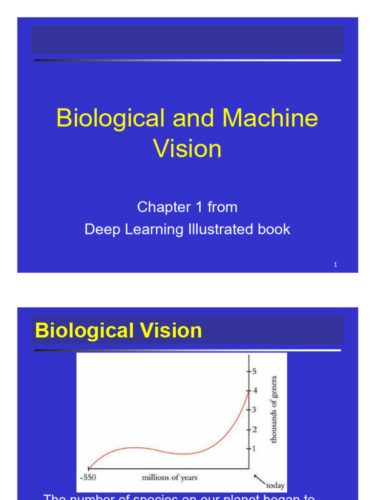 Biological and Machine Vision Insights | PDF | Deep Learning | Machine ...