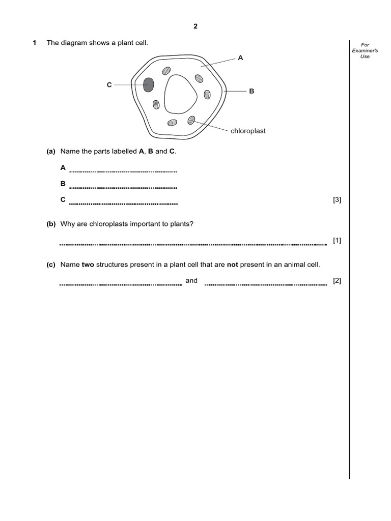  c5 2012 caie p1 questions pdf rock geology gases