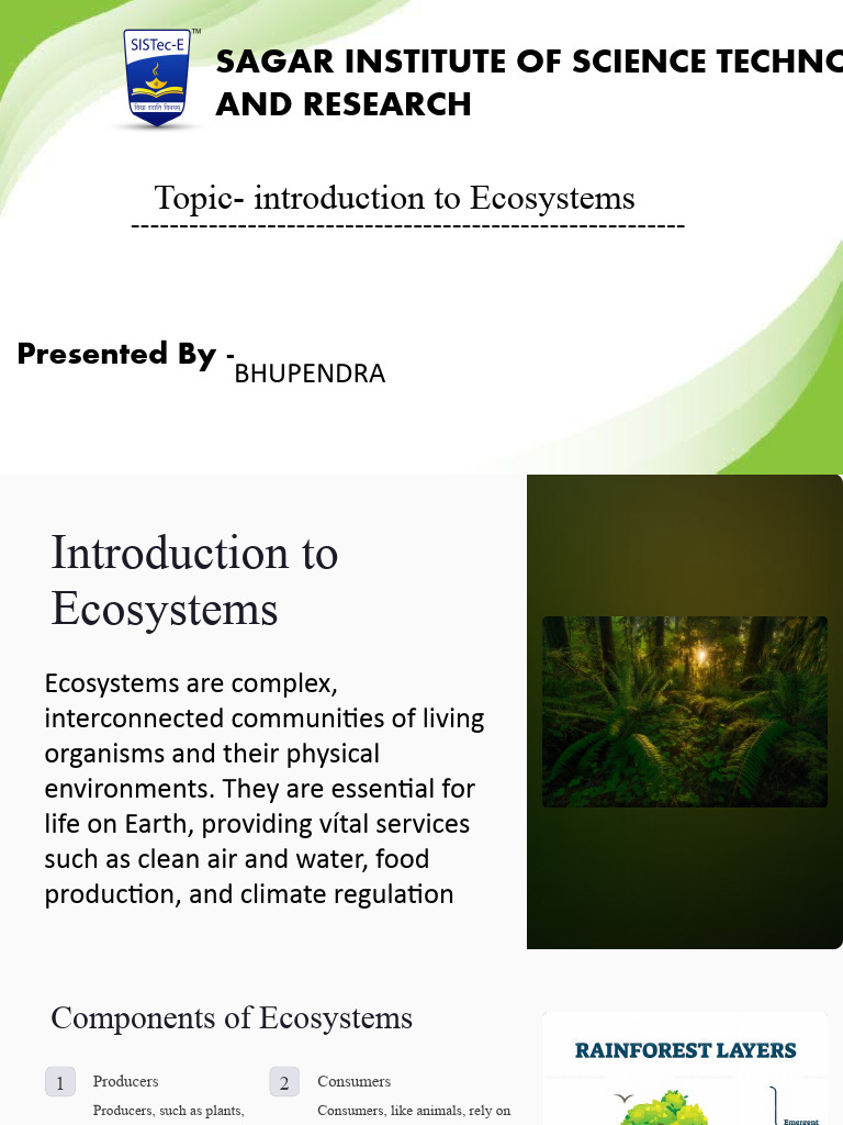 Introduction to Ecosystems Overview | PDF | Ecosystem | Food Web