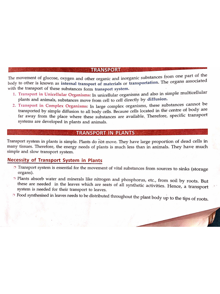 ch-5 Life Processes, Transportation in Plants PDF | PDF