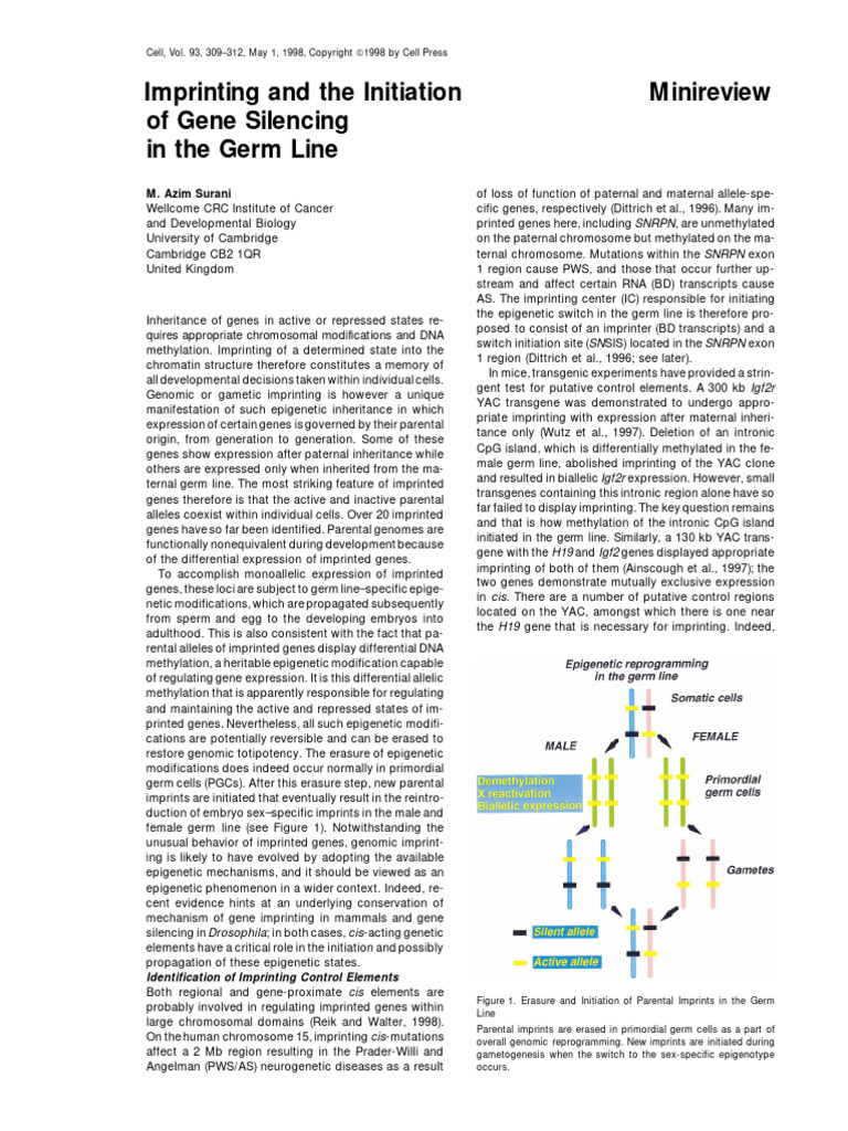 Imprinting and The Initiation of Gene Silencing in | PDF | Dna ...