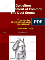Guidelines Management of Common Bile Duct Stones