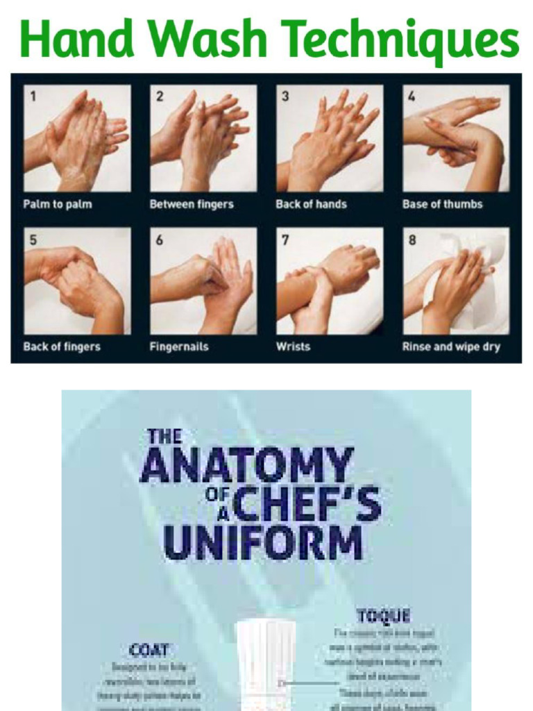 8 Proper Hand Washing Techniques | PDF