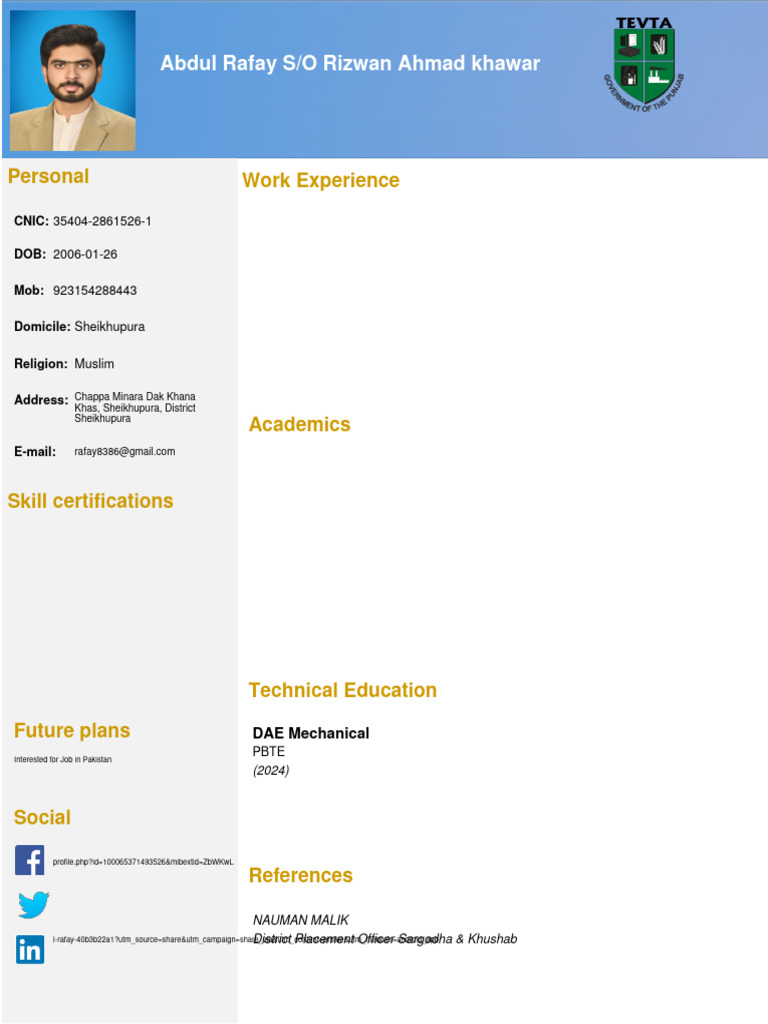Abdul Rafay S/O Rizwan Ahmad Khawar: Personal Work Experience | PDF
