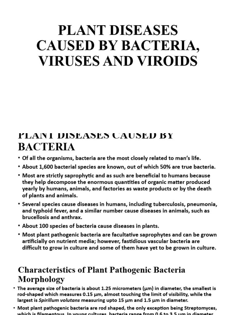 Bacteria, Viruses and Viroids | PDF | Bacteria | Virus