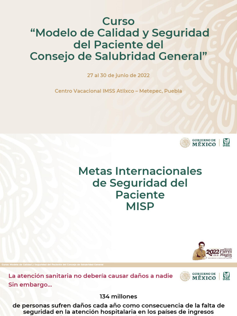 2 Metas Internacionales De Seguridad Del Paciente Pdf Seguridad
