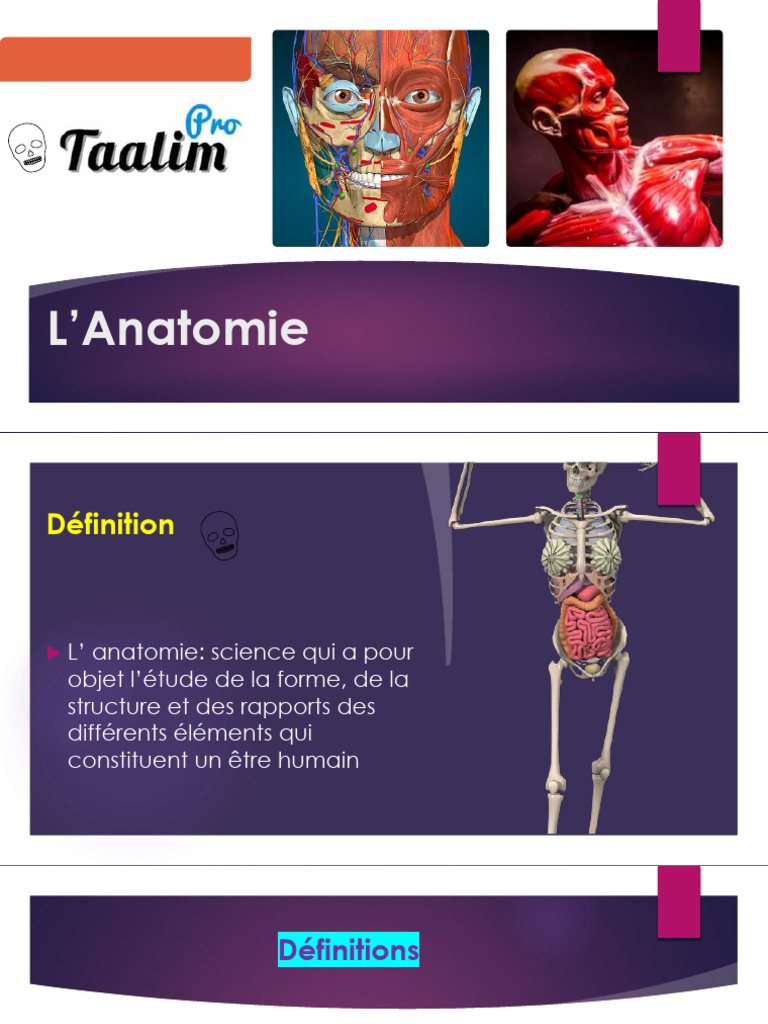 Anatomie du squelette humain et articulations | PDF | Articulation ...