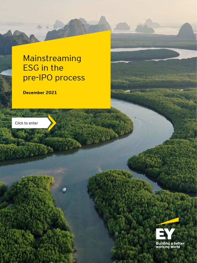Ey mainstreaming esg in the pre ipo process pdf sustainability