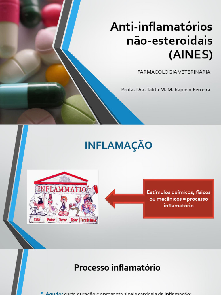 Anti-Inflamatórios Não Esteroidais (AINES) | PDF | Inflamação | Anti ...
