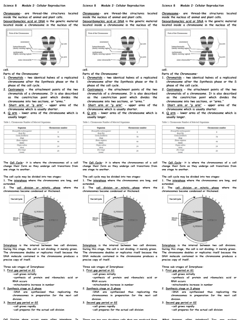 Handouts Science 8 DNA and Chromosome | PDF | Mitosis | Chromosome