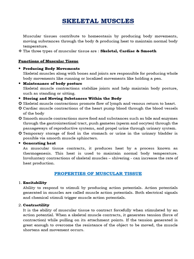 SKELETAL MUSCLES new | PDF | Muscle Contraction | Neuromuscular Junction