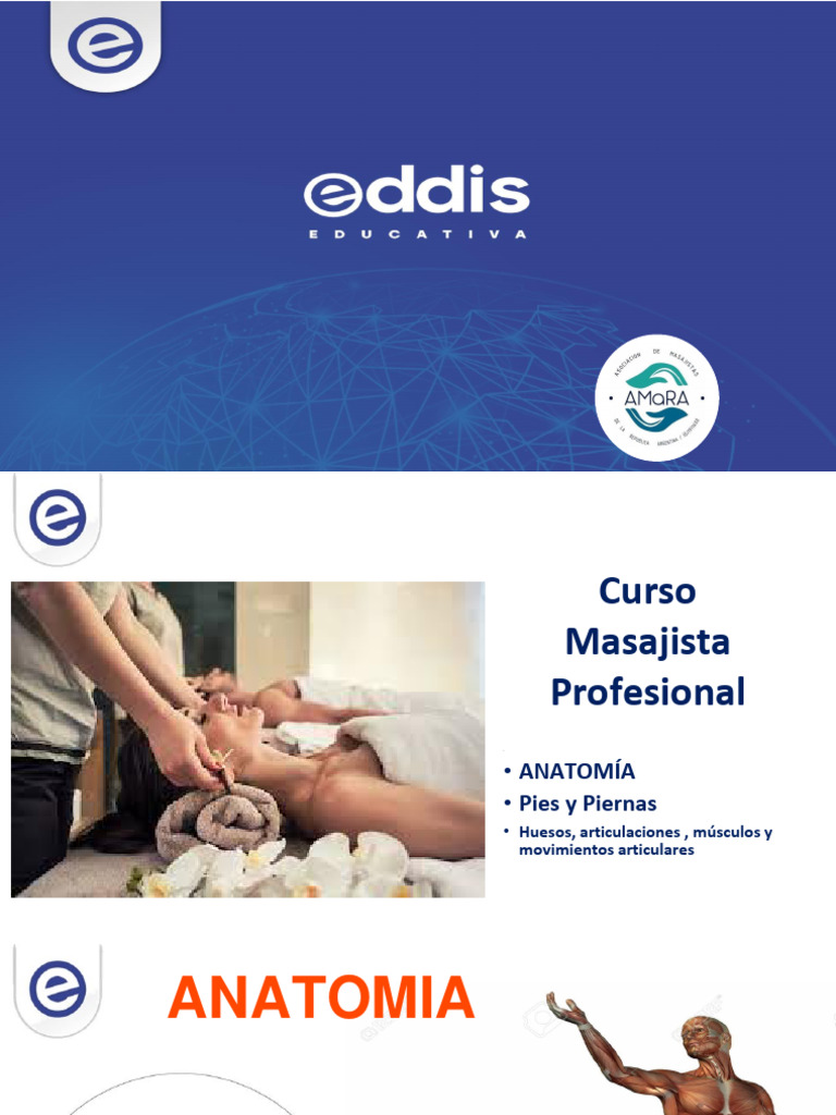 Clase 7 Masajista Profesional | PDF | Mano | Sistema musculoesquelético