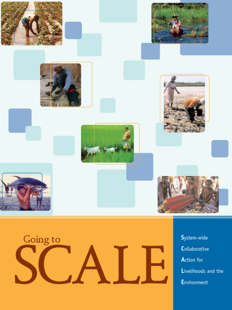 SCALE Framework for Sustainable Development | PDF | Sustainability ...
