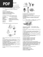 EXERCÍCIOS - zoologia